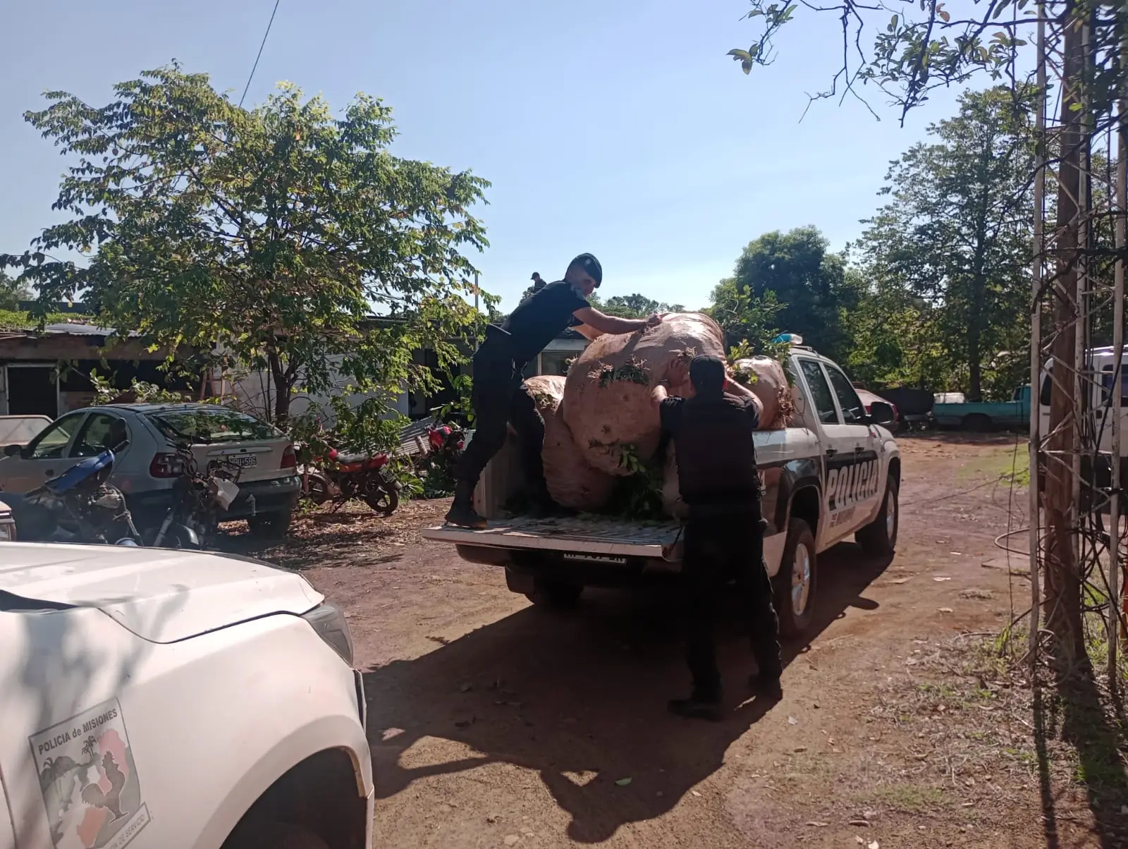 En el terreno, los efectivos encontraron varias ponchadas de yerba listas para ser transportadas.