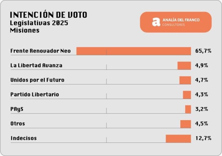 Elecciones en Misiones: un oficialismo fuerte frente a una oposición dispersa