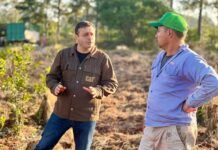 Herrera Ahuad propone restituir las funciones del INYM y priorizar la agenda misionera