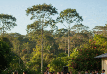 Educación: El próximo miércoles se realizará el operativo Aprender Censal Primaria