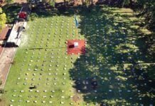 Caraguatay: Gendarmería secuestró nueve toneladas y media de marihuana