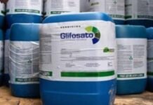 Glifosato en la mira: retiran estudio que defendía su seguridad y crecen las acusaciones contra Monsanto