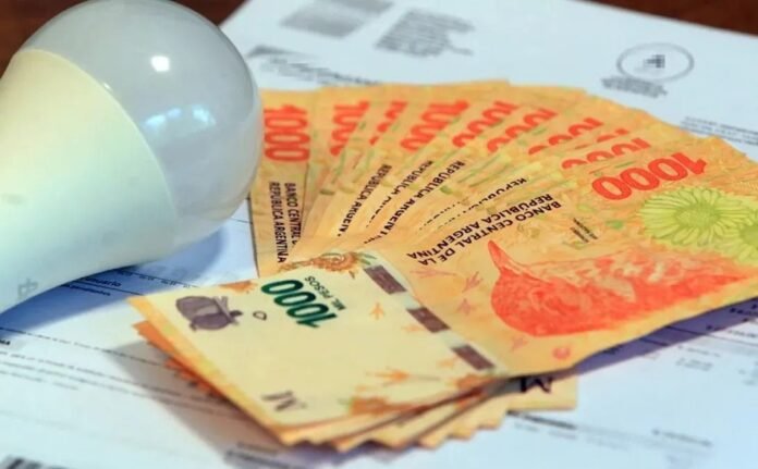 WhatsApp Image 2025-12-04 at 15.01.10