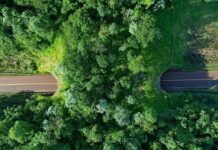 Misionerismo Neo: una invitación a ordenar el futuro