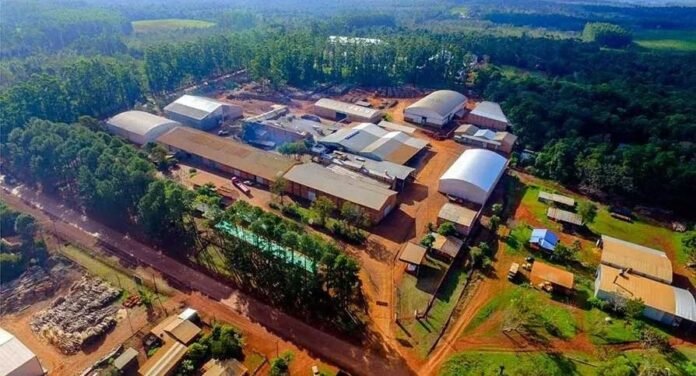 WhatsApp Image 2025-12-22 at 12.18.16