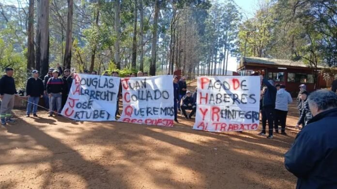 WhatsApp Image 2025-12-30 at 14.00.23