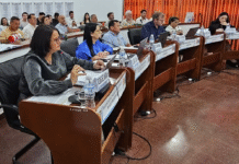 Así quedará conformado el nuevo Honorable Concejo Deliberante de San Vicente este 10 de diciembre