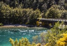 Una familia de Misiones encendió fuego en zona prohibida de Bariloche