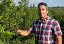 El INYM niega haber subido la estampilla, pero ya aprobó el aumento y espera aval de Nación