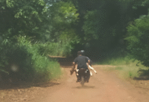 Eldorado: Persecución policial frustra el robo de un ternero transportado en moto