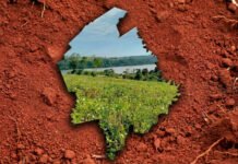 Misiones suma una herramienta clave para planificar su producción: una cartografía semidetallada de suelos de Guaraní