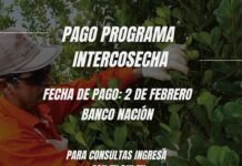 Passalacqua anunció el pago del programa intercosecha para trabajadores yerbateros de Misiones