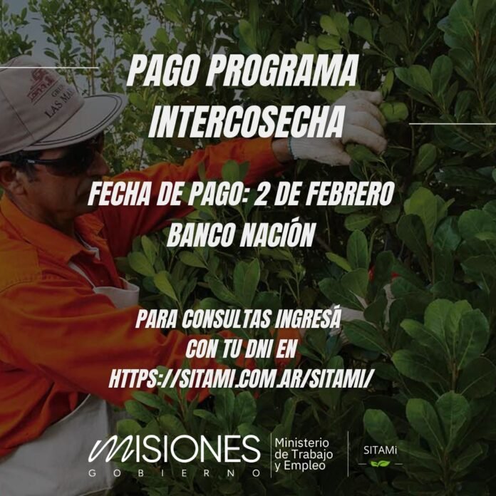 WhatsApp Image 2026-02-03 at 15.30.07