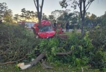 Puerto Rico: Despiste fatal dejó una víctima y un herido de gravedad en la Ruta Nacional 12