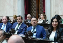 Diputados misioneros impulsan aportes y plantean objeciones clave en el debate por la Ley de Imputabilidad