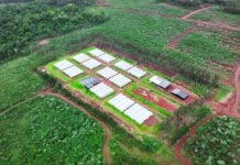 Desde San Vicente: Innovación productiva con base biológica