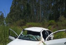 Despiste en la Ruta Costera N° 2 dejó un conductor con lesiones leves
