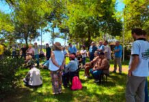 Más de 40 productores participaron de las jornadas tecnológicas del té en Campo Viera
