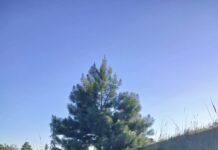 Despiste en la Ruta Provincial 2: un conductor sufrió lesiones leves en El Soberbio