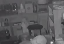 Dos de Mayo: Captado por las cámaras y detenido tras robar 600 mil pesos en un bar