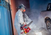 Misiones cerró el verano sin casos autóctonos confirmados de dengue ni chikungunya