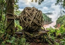 ANÁLISIS PERIODÍSTICO | El nudo gordiano: la metáfora que explica el inicio de un nuevo tiempo político