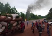 Grieta en el reclamo yerbatero: Skripczuk se despegó de los cortes y va por la vía judicial