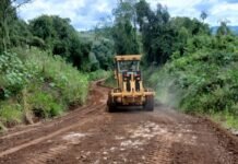 Vialidad Misiones atiende más de 20 frentes de trabajo simultáneos en la red terrada