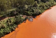 El Soberbio reafirma su liderazgo ambiental con la 8ª Limpieza Binacional del Río Uruguay