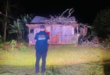 Tragedia en El Soberbio: una bebé de 3 meses murió al caerle una rama encima en su casa
